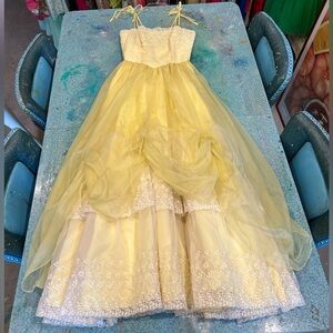 Beautiful Vintage Gown